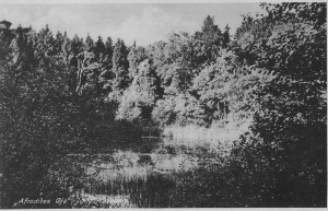 Postkort fra Vaerloese-25 (1)